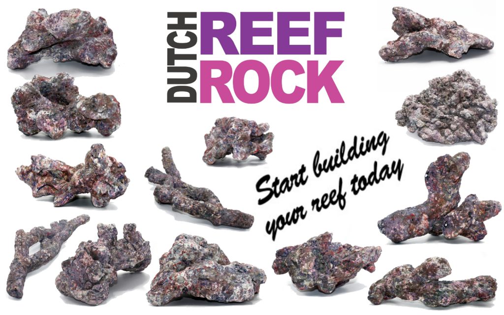 dutch reef rock start building your reef today