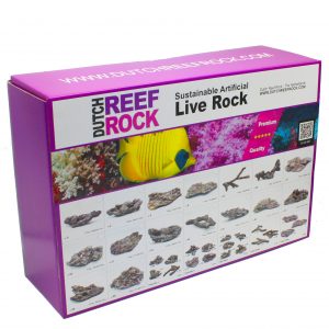 Dutch reef Rock Big box